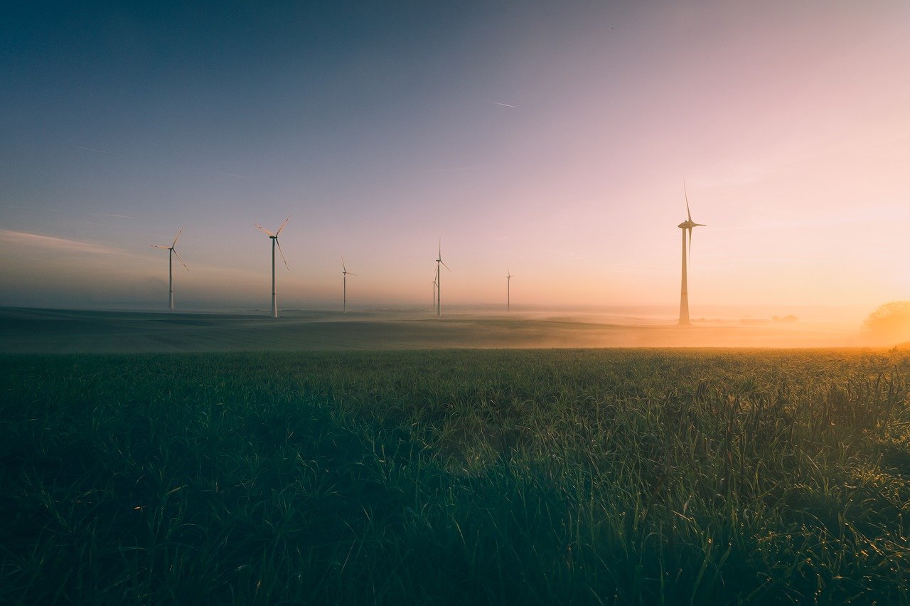 What is ESG Verification and Why Does It Matter?